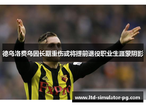 德乌洛费乌因长期重伤或将提前退役职业生涯蒙阴影 德乌洛费乌因长期重伤或将提前退役职业生涯蒙阴影